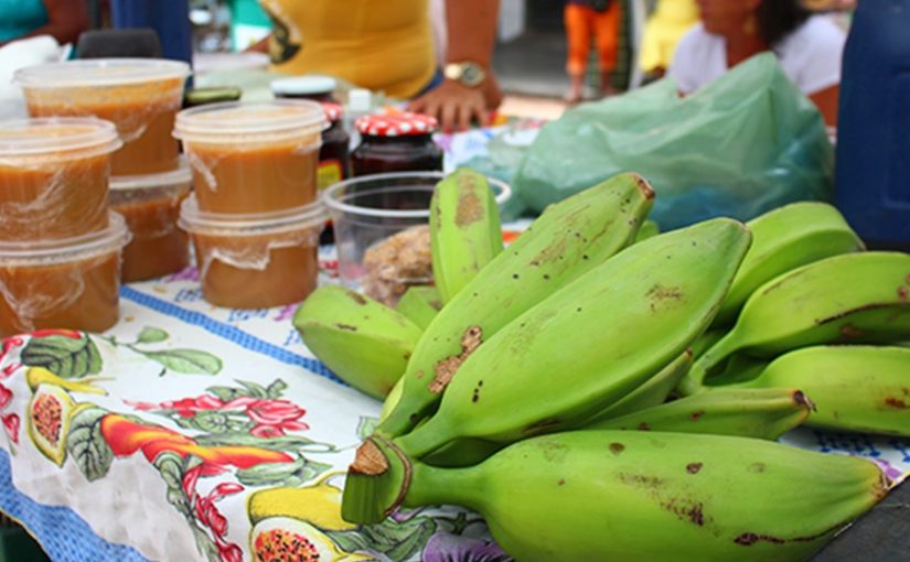 MPCE recomenda que Município de Santana do Acaraú garanta cumprimento de protocolos sanitários durante feira agropecuária