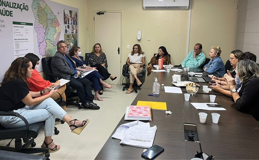 Em reunião com MPCE, Secretarias da Saúde do Estado e de Fortaleza apresentam propostas para conter superlotação na rede materno-infantil