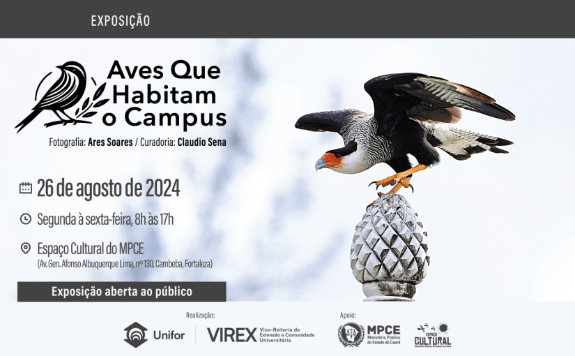 MP do Ceará promove exposição “Aves que Habitam o Campus” no Espaço Cultural da Procuradoria Geral de Justiça