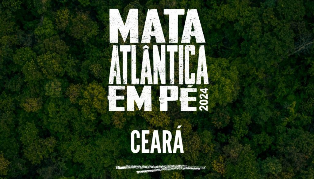 Nova edição da Operação Mata Atlântica em Pé acontece em 17 estados e combate o desmatamento, uma das principais causas das mudanças climáticas  