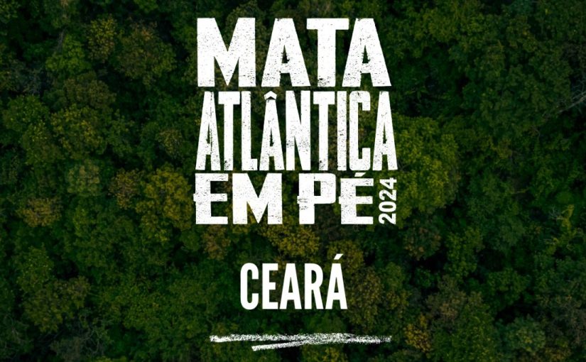 Nova edição da Operação Mata Atlântica em Pé acontece em 17 estados e combate o desmatamento, uma das principais causas das mudanças climáticas  