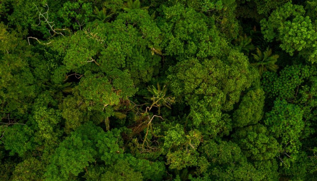 MP do Ceará recomenda que Governo do Estado assuma licenciamento e fiscalização ambiental em Marco por falta de estrutura no município 