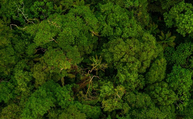 MP do Ceará recomenda que Governo do Estado assuma licenciamento e fiscalização ambiental em Marco por falta de estrutura no município 