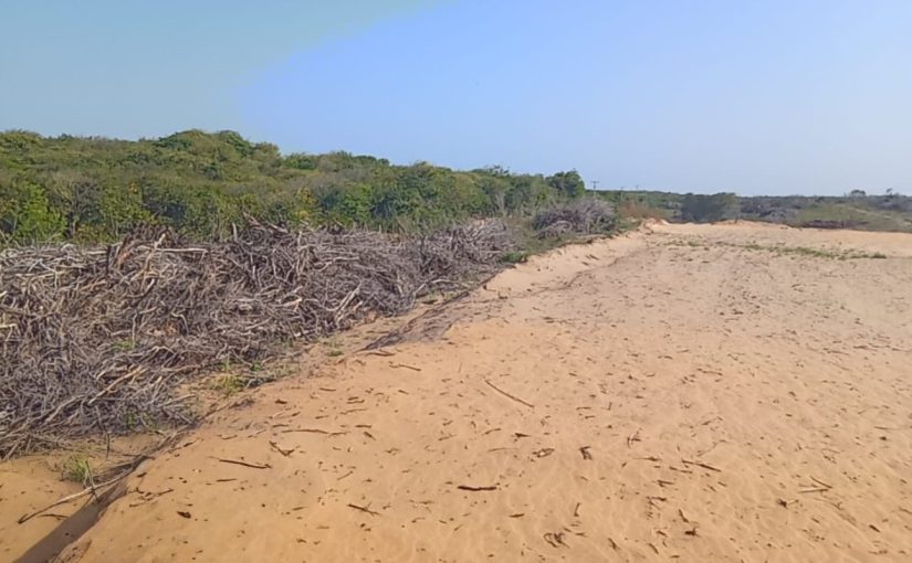 Operação Mata Atlântica em Pé 2025 aplica R$ 13 milhões em multas por desmatamento ilegal no Ceará