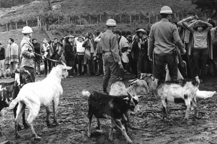 30º Congresso da UNE, em Ibiúna (SP). Frei Tito foi um dos 719 estudantes detidos. 