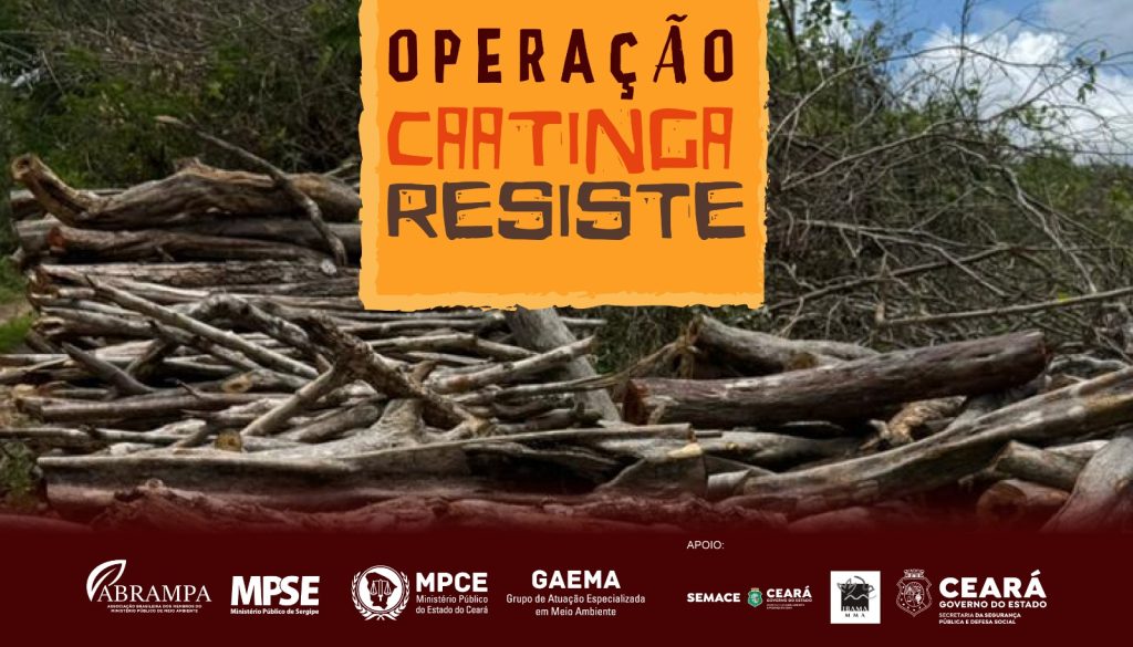 Operação do MP, em parceria com Ibama, Semace e SSPDS, embarga quase 2 mil hectares de área desmatada ilegalmente no Ceará 
