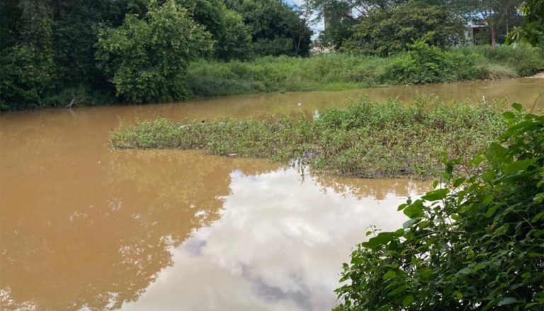 Em Juazeiro do Norte, MP do Ceará inspeciona Parque das Timbaúbas para apurar suspeita de contaminação de córrego e morte de peixes
