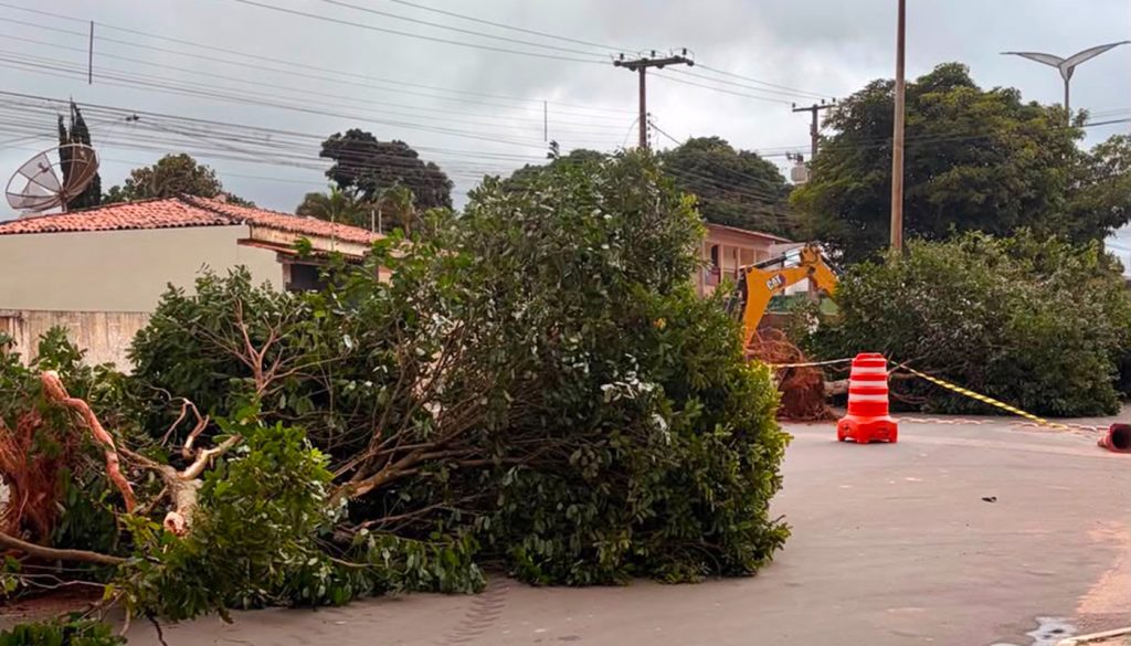 MP do Ceará recomenda que Prefeitura suspenda obras de revitalização de avenida em Ubajara por risco de dano ambiental
