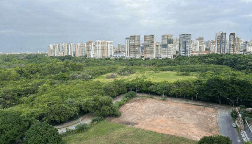 Empresa da capital é multada pelo MP por comercializar empreendimento “Casa Monã” em área de preservação permanente sem informar aos consumidores