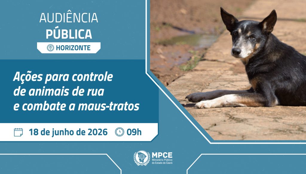MP do Ceará convoca audiência pública para discutir ações de controle de animais de rua e combate a maus-tratos em Horizonte